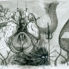White Noise, pen, brush ink on paper, 2005