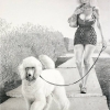 Walking The Dog (2012)